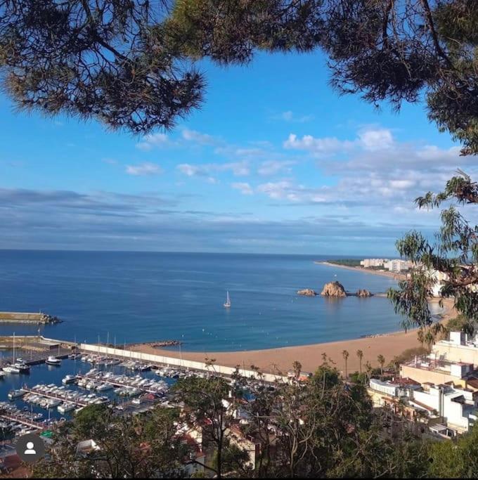 Piso Ideal Para Una Familia Ubicado Cerca Del Mar Blanes Exterior foto